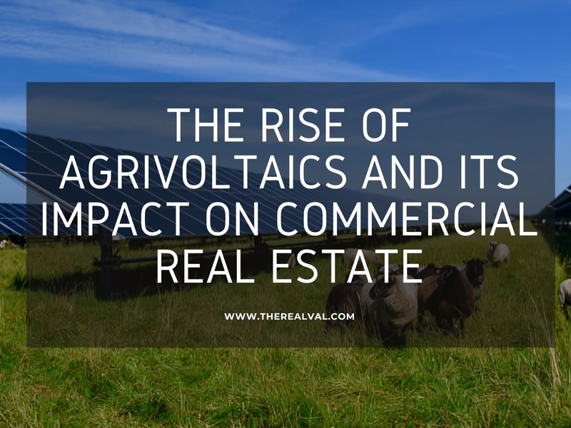 The Rise of Agrivoltaics and its Impact on Commercial Real Estate