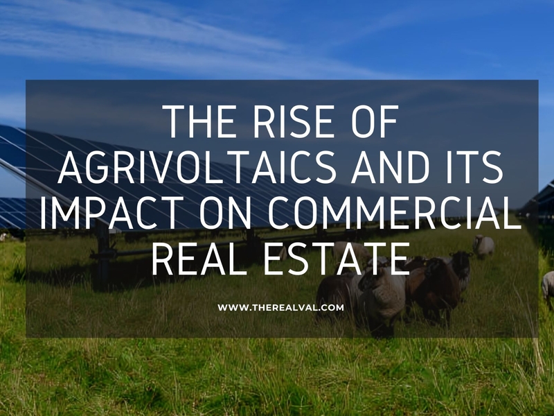 Solar panels in a field with text: The Rise of Agrivoltaics and Its Impact on Commercial Real Estate.