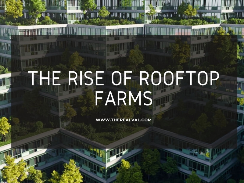 Modern buildings with lush rooftop farms, highlighting the trend of urban agriculture.